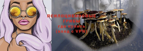 прущий лед Инсар