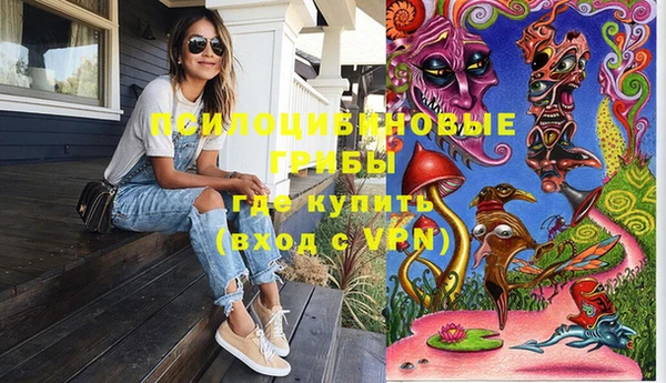 прущий лед Инсар