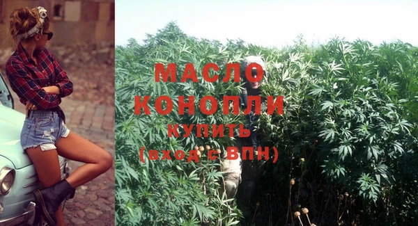 прущий лед Инсар