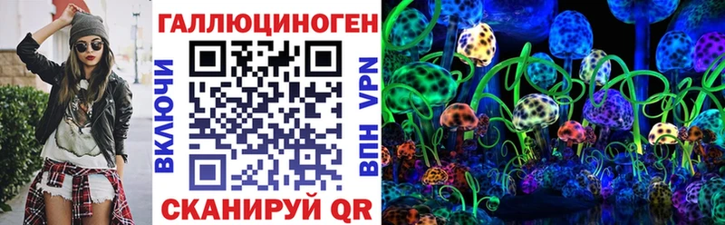 Купить  Дудинка  Псилоцибиновые грибы Cubensis 